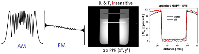 Enlarged view: Broadband saturation pulses with polynomial phase response and flip angle optimization